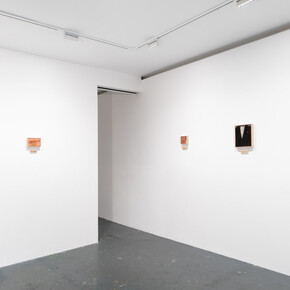 Installation view, Katelyn Eichwald, Talisman, 2024. Courtesy of Fortnight Institute