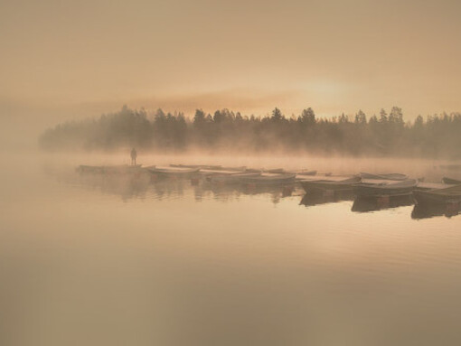 L’evoluzione si basa sul principio dell’adattamento