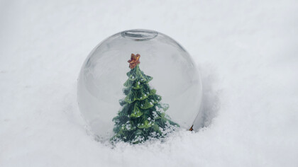 El árbol de Navidad continúa siendo un testamento perdurable de la capacidad de las tradiciones para conectar a las personas