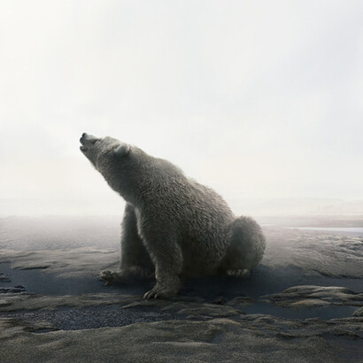 Bear With It

Photo based digital painting
60 x 62 inches