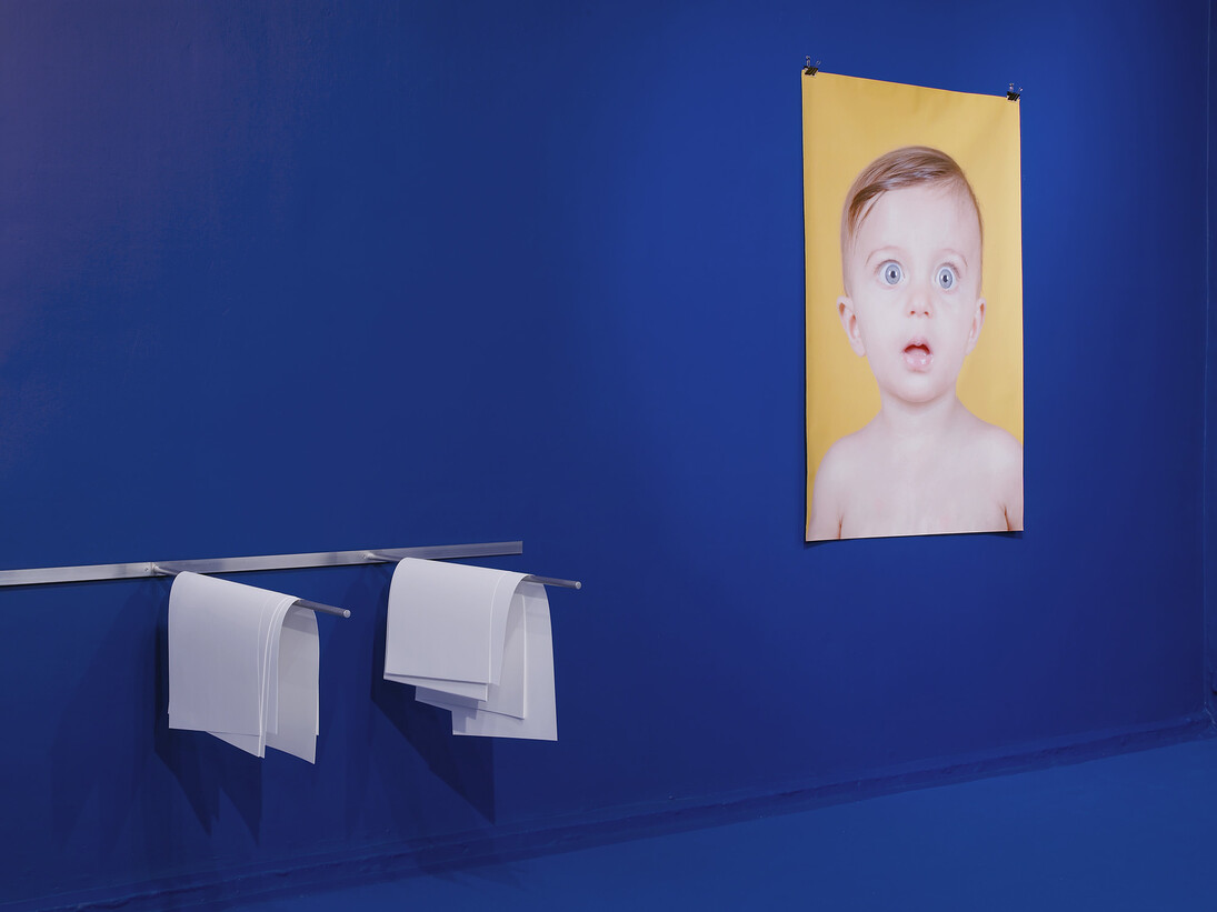 Camille Henrot, The Pale Fox (détail), 2014. Photo : Andy Keate  