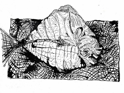 Illustrazione di Vittorio Giacopini