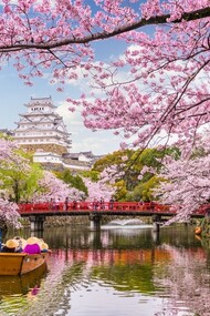 Japan is one of the main representatives of market capitalism