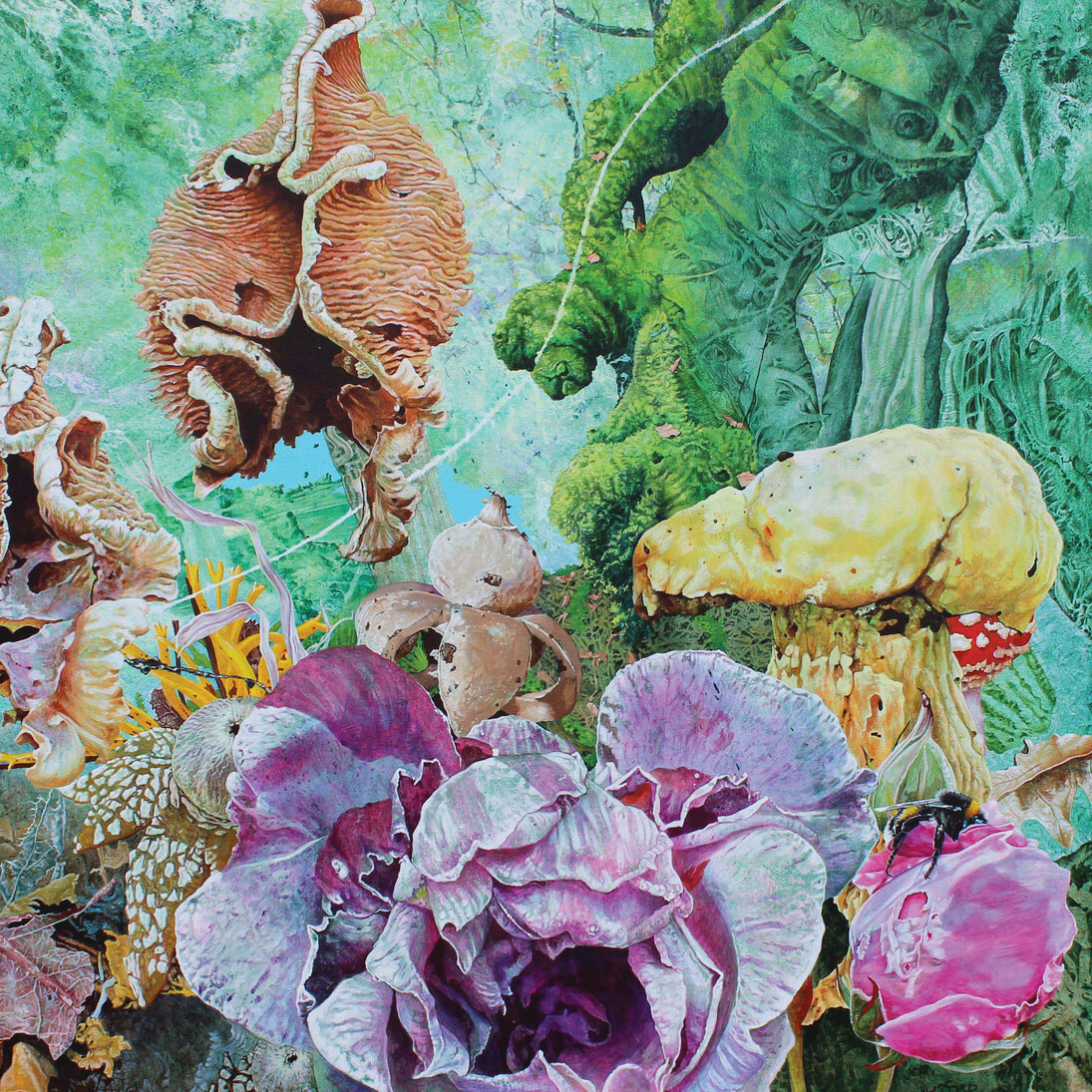 John Hurford, Earth Star