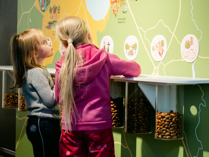 BiodiverseCity? Exhibition view. Courtesy of Estonian Natural History Museum