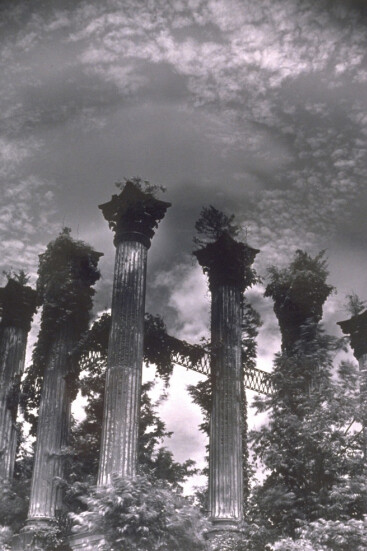 Collection Ensemble. Courtesy of UMMA