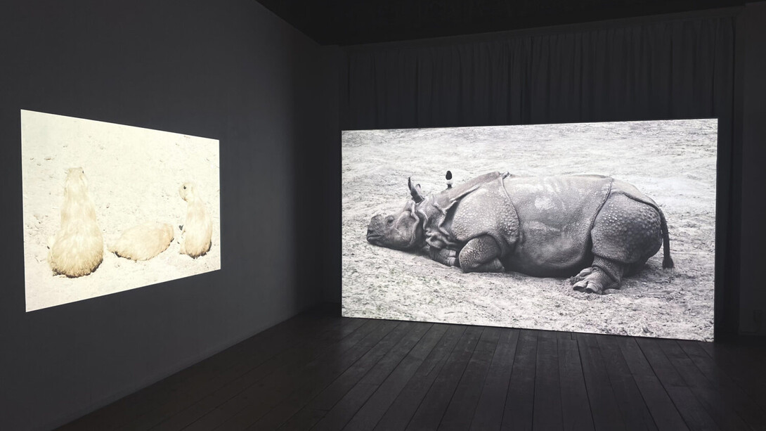 Marjan Laaper, Loss, hope and wonder, exhibition view. Courtesy of NL=US Art