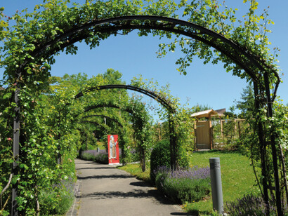 Sulla costa svizzera del lago, da non perdere il parco del castello di Areneberg, sede del museo napoleonico (fu residenza di Ortensia, madre di Napoleone III). Qui è stato recentemente inaugurato anche un giardino neo-medievale. Foto Enzo Valenti