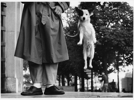Elliott Erwitt, France, Paris, 1989, © Elliott Erwitt/Magnum Photos