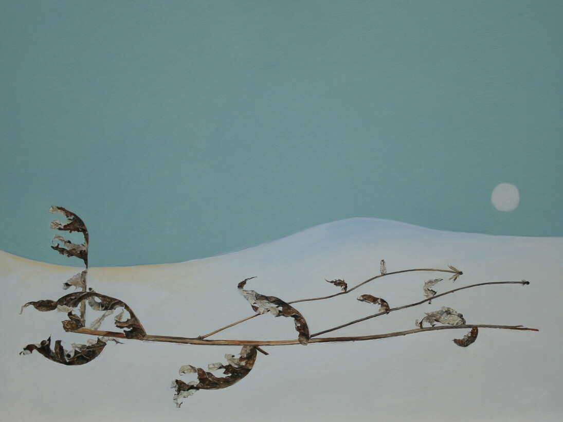 Jocelyn Clarke, Thistle and Moon, 2015, 68 x 84 cm, oil on board  
