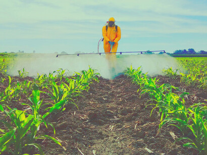 El glifosato se puede encontrar a grandes distancias del sitio de aplicación debido a la ocurrencia de su deriva