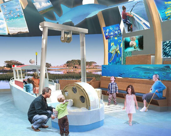 Discovery Zone. Courtesy of Florida Museum of Natural History