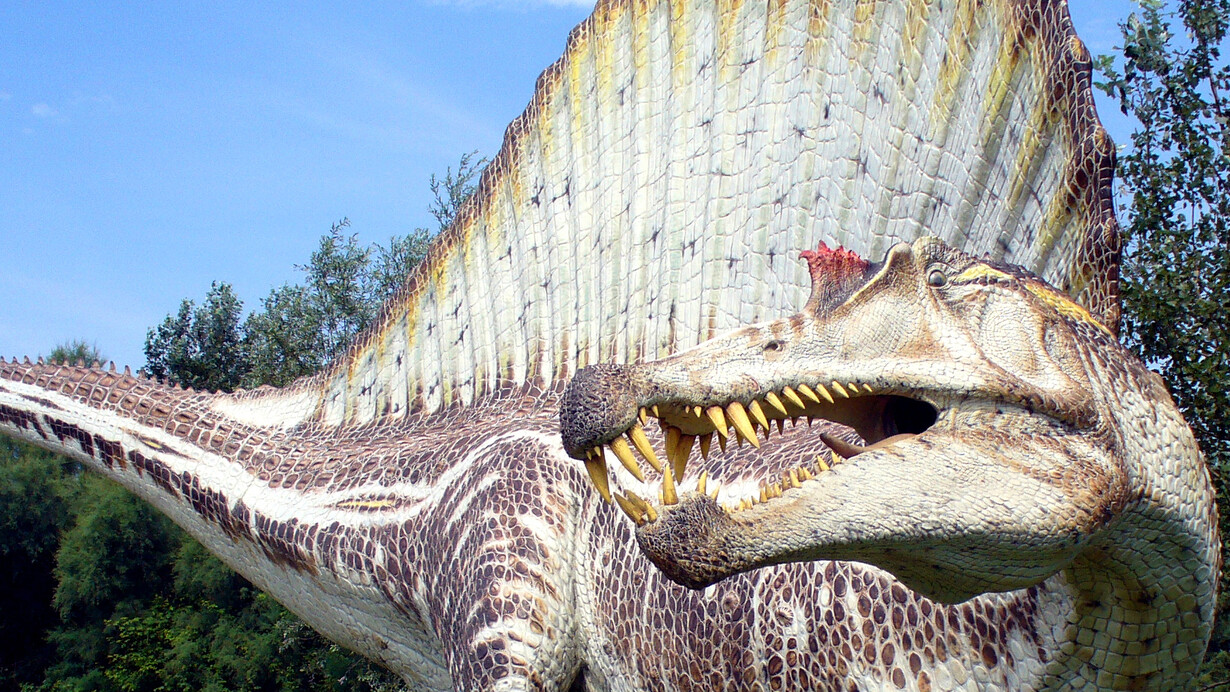 Modello in grandezza naturale di Spinosaurus, lungo circa 16 metri, realizzato da Geo - Model e ora esposto nei Giardini Montanelli, di fronte a Palazzo Dugnani © Foto di Simone Maganuco 