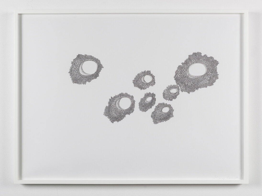 May Cornet, 'Hair Drawings', 2010, pen on paper, 76 x 57 cm