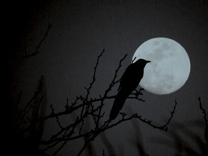 Era solo un espectador en un teatro al aire libre