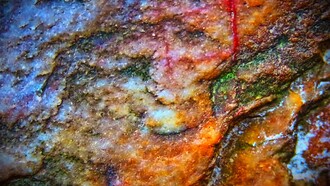 Zwątpienie - doute - doubt - duda - Zweifel. Posiblemente un pseudomorfo de sílice a partir de cristales de halita y restos silicificados de algas