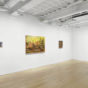 Georg Wilson, The last oozings, exhibition view. Courtesy of Pilar Corrias Gallery