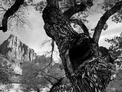 Riti che si tramandano