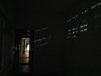 Martha Jungwirth & Eva Schlegel. Courtesy of Galerie Krinzinger