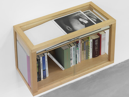 Maria Eichhorn. Courtesy of Migros Museum