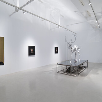 Mat Collishaw, Vivisystem, exhibition view. Courtesy of Hilario Galguera Gallery