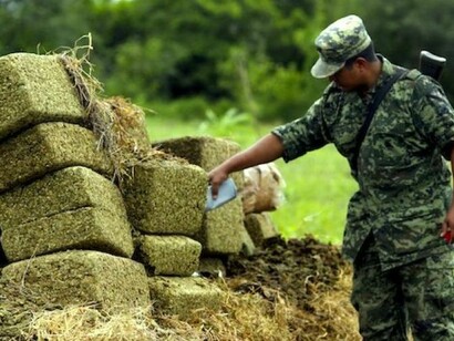 La droga como excusa
