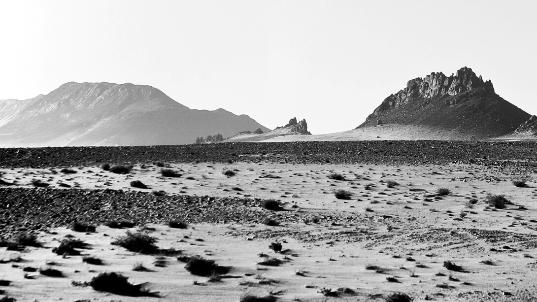 Ingrid Guyon, Between Nouadhibou and Zouerate (detail)