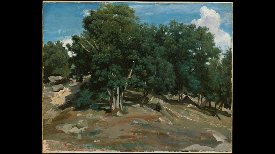 Public Parks, Private Gardens. Courtesy of Metropolitan Museum of Art