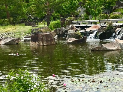 Kishin-en pond © Alma Reyes