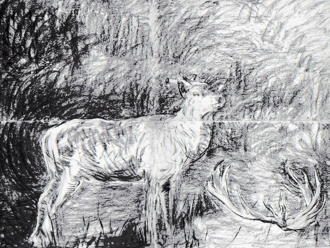 Adel Abdessemed, Cerf, 2016. Courtesy of Cahiers d'Art