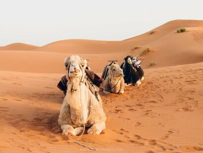 The hot sand is between 70 to 80° C 