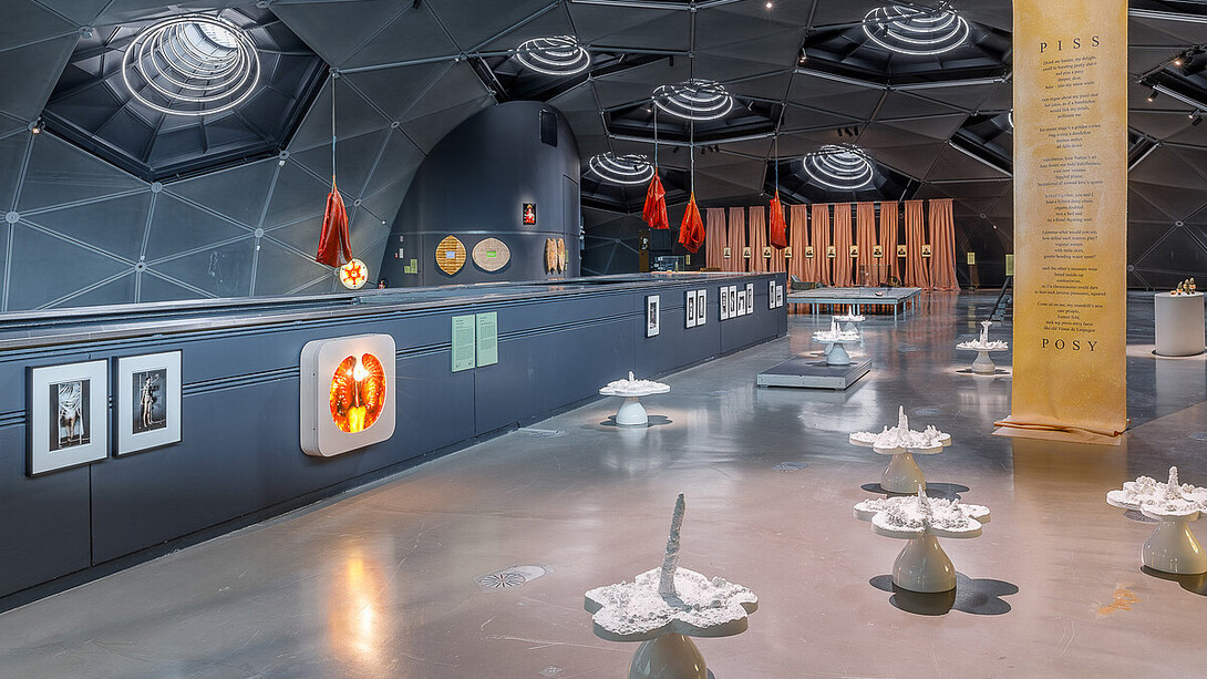 Helen Chadwick, Hybrid pleasures, exhibition view. Courtesy of Kunsthaus Graz