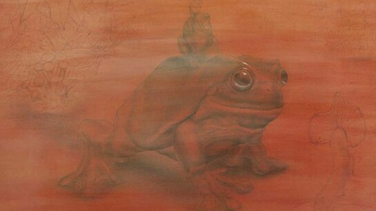 Sapu, Color pencil, acrylic on paper, 16” x 21.5” unframed, 20.25” x 26.25” framed