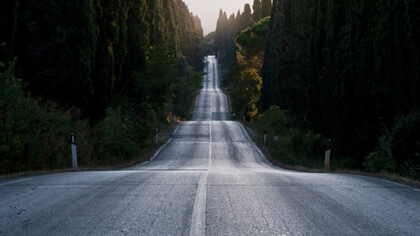 Il Viale dei Cipressi di Bolgheri