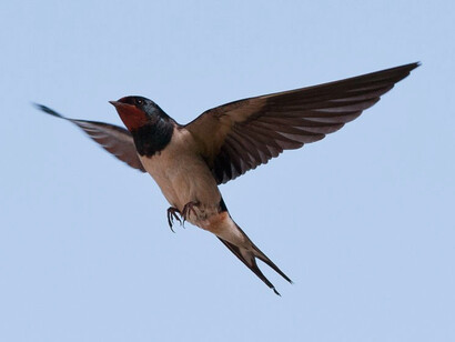 Lo extraño de la gran mayoría de nosotros es que pasemos la mayor parte de nuestras vidas corriendo detrás del dinero
