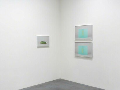 Hawaii, Exhibition view. Courtesy of Moskowitz Bayse