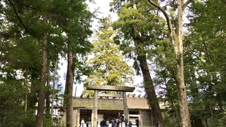 Ise Jingu Outer Shrine, main sanctuary © Alma Reyes
