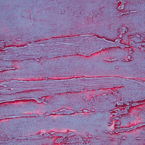 Charting the Terrain. Courtesy of CAAM 