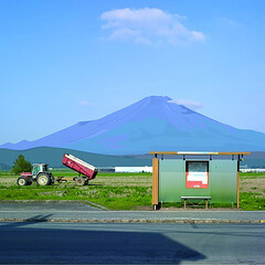 Alain Bublex, Paysage 136 (Mont Fuji CF01042), 2014 