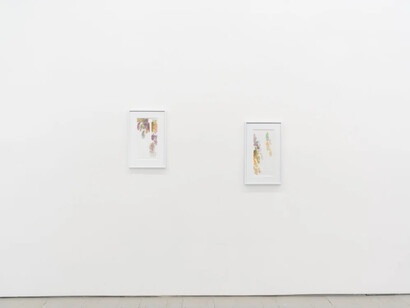 Stephen Antonakos, Space and color, exhibition view. Courtesy of Jack Barrett Gallery