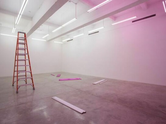 Exhibition views, We are the meeting. Photo: Jean Vong. Courtesy the artist and Casey Kaplan, New York