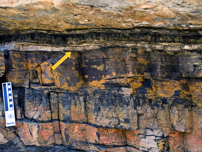 Iridio presente in una stratificazione geologica