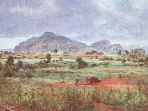 Alexander Bierig; Paisaje cubano. Sin fecha. Óleo