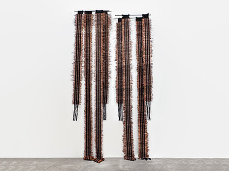 Rosana Escobar and Vanessa Gómez, Feraz encuentros con lo natural, exhibition view. Courtesy of La Cometa Gallery