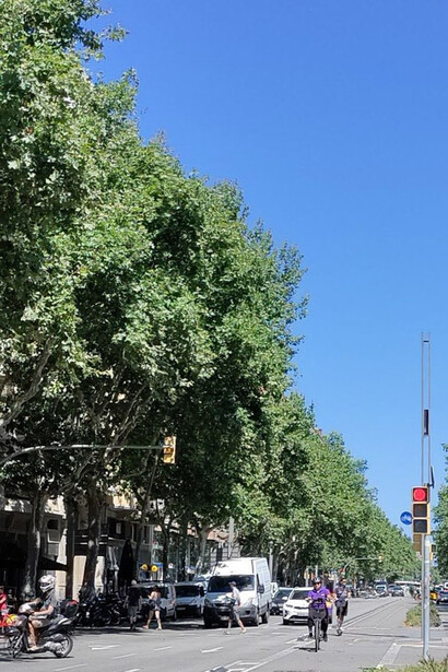Avenida que separa la Barcelona burguesa de los barrios humildes, España. Fotografía: Paco Cerezo