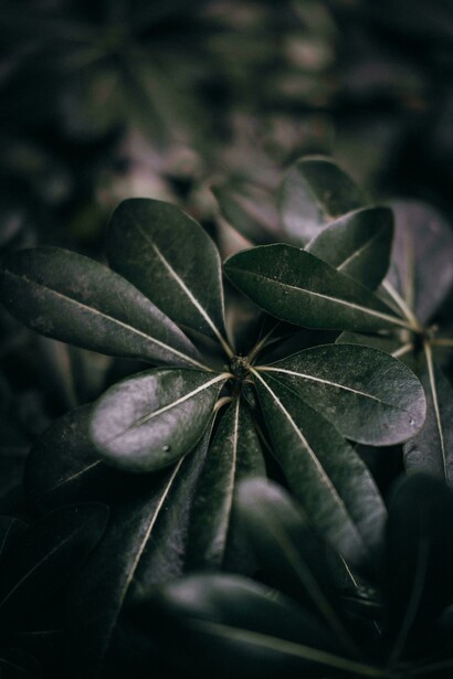 Las pérdidas de empleo reiteradas llevan a reflexionar sobre la falta de realización y el esfuerzo por encajar en ambientes poco afines