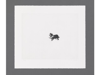 Humphrey Ocean, From This We Can Tell, Dog, 2004