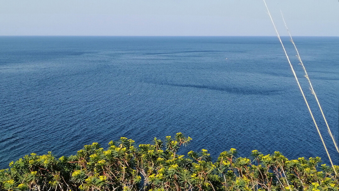 Macari è un luogo dell'anima, aspro e viscerale, foto Maria Burgarella