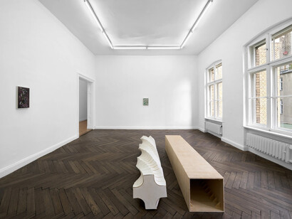 Leunora Salihu and Albrecht Schnider, A plant. A person. A life, exhibition view. Courtesy of Galerie Thomas Schulte