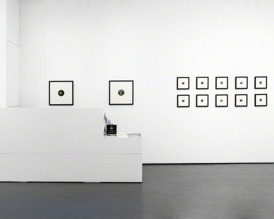 Dina Brodsky. Courtesy of Pontone Gallery